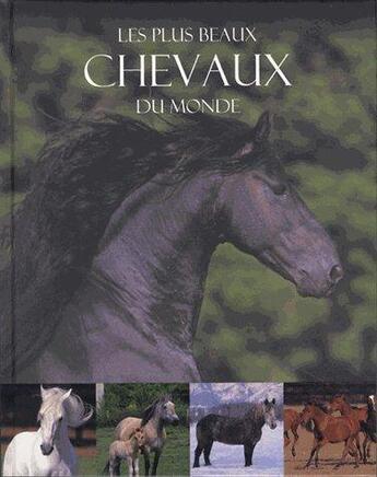 Couverture du livre « Les plus beaux chevaux du monde » de  aux éditions Parragon