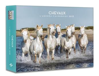 Couverture du livre « L'agenda-calendrier chevaux (édition 2018) » de  aux éditions Hugo Image