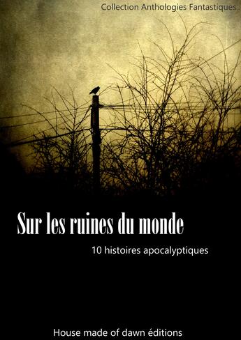 Couverture du livre « Sur les ruines du monde » de  aux éditions House Made Of Dawn