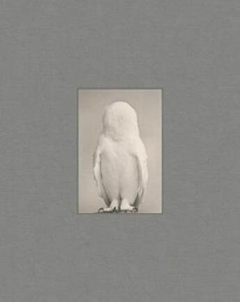 Couverture du livre « Yamamoto masao: tori » de Masao Yamamoto aux éditions Radius Books