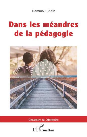 Couverture du livre « Dans les méandres de la pédagogie » de Chaib Hammou aux éditions L'harmattan