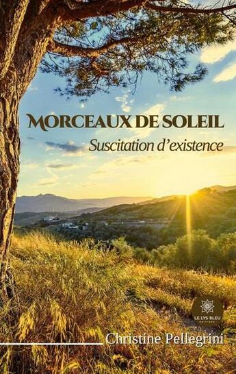 Couverture du livre « Morceaux de soleil : Suscitation d'existence » de Christine Pellegrini aux éditions Le Lys Bleu