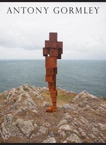 Couverture du livre « Antony gormley » de  aux éditions Rizzoli