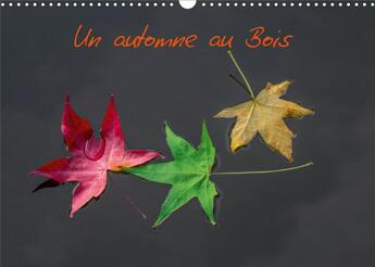 Couverture du livre « Un automne au Bois (Calendrier mural 2020 DIN A3 horizontal) ; Un automne dans le Bois de Boulogne. (Calendrier mensuel, 14 Pages ) » de Paulo C. Neves aux éditions Calvendo