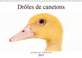 Couverture du livre « D adorables canetons calendrie » de Aurelie Fieschi aux éditions Calvendo