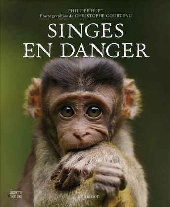 Couverture du livre « Singes en danger » de Philippe Huet aux éditions Flammarion