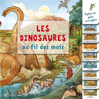 Couverture du livre « Les dinosaures au fil des mois » de  aux éditions Millepages