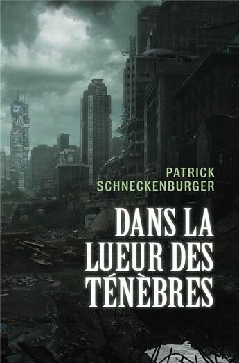 Couverture du livre « Dans la lueur des tenebres » de Schneckenburger P. aux éditions Librinova