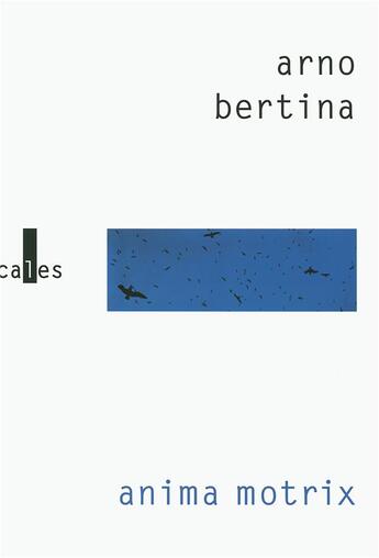 Couverture du livre « Anima motrix » de Arno Bertina aux éditions Verticales
