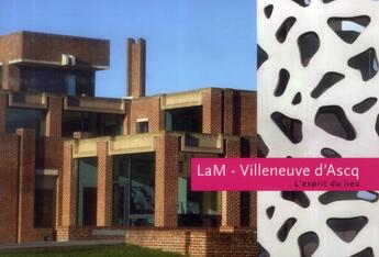 Couverture du livre « LAM ; Lille métropole musée d'art moderne » de Francoise Bonnefoy aux éditions Scala