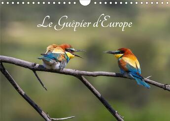 Couverture du livre « Le Guêpier d'Europe - Merops Apiaster (Calendrier mural 2020 DIN A4 horizontal) ; Découvrez chaque mois les différentes facettes du guêpier d'Europe. (Calendrier mensuel, 14 Pages ) » de Djamal Makhloufi aux éditions Calvendo