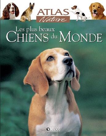 Couverture du livre « Les plus beaux chiens du monde » de Jean Medialivre aux éditions Atlas