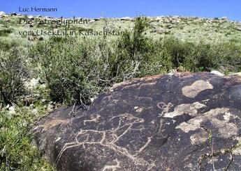 Couverture du livre « Die petroglyphen vom usektal in kasachstan » de Luc Hermann aux éditions Books On Demand