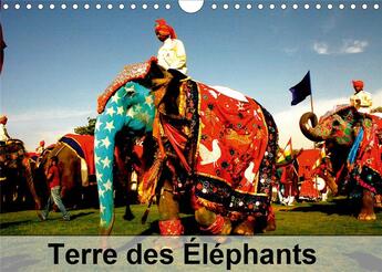 Couverture du livre « Terre des elephants calendrier mural 2020 din a4 horizontal - des quelques 300 especes de ma » de Dominique Leroy aux éditions Calvendo