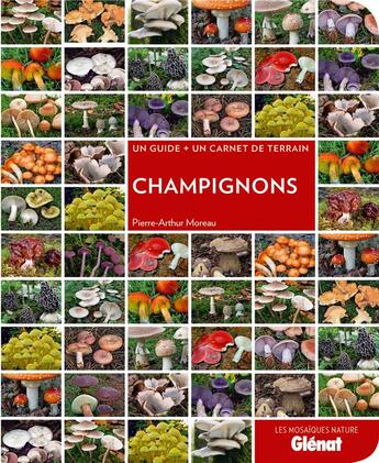 Couverture du livre « Champignons » de Pierre-Arthur Moreau aux éditions Glenat