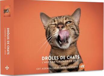 Couverture du livre « Agenda-calendrier drôles de chats (édition 2023) » de  aux éditions Hugo Image