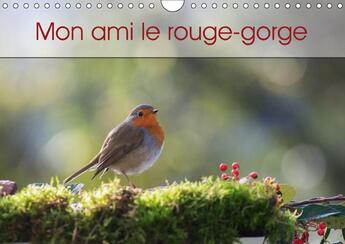 Couverture du livre « Mon ami le rouge gorge calendrier mural 2018 din a4 horizont - une annee de la vie du rouge g » de Brosseau Matoss aux éditions Calvendo