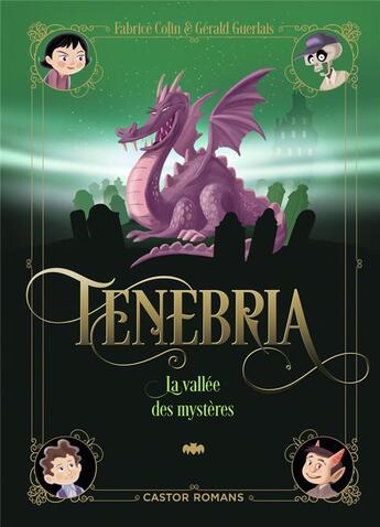 Couverture du livre « Tenebria Tome 3 : La vallée des mystères » de Fabrice Colin et Gerald Guerlais aux éditions Pere Castor