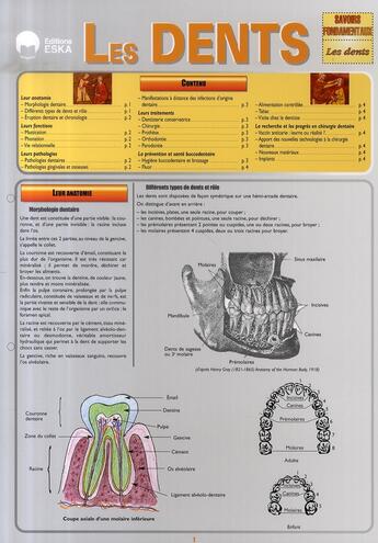 Couverture du livre « Les dents » de Ophelie Hugounenq aux éditions Eska