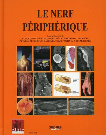 Couverture du livre « Le nerf périphérique » de Agnes Lhoste-Trouilloud et Raphael Guillin et Xavier Demondion et Stefano Bianchi aux éditions Sauramps Medical