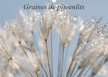 Couverture du livre « Graines de pissenlits (Calendrier mural 2020 DIN A3 horizontal) ; Photos macro de graines de pissenlits (Calendrier mensuel, 14 Pages ) » de Veronique Brosseau Matossy aux éditions Calvendo