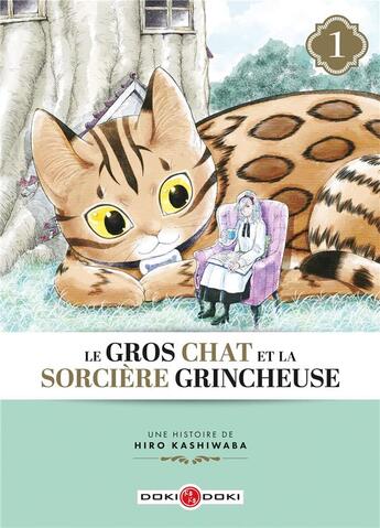 Couverture du livre « Le gros chat et la sorciere grincheuse Tome 1 : le gros chat et la sorciere grincheuse » de Hiro Kashiwaba aux éditions Bamboo