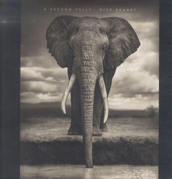 Couverture du livre « A shadow falls » de Nick Brandt aux éditions Abrams