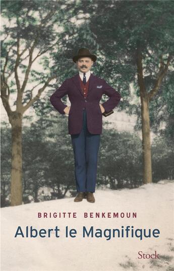 Couverture du livre « Albert le magnifique » de Brigitte Benkemoun aux éditions Stock