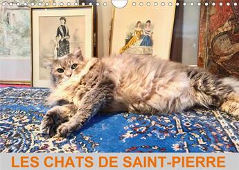 Couverture du livre « Les chats de saint pierre calendrier mural 2020 din a4 horizontal - les chats de gouttiere en mode » de Favre Pierre An aux éditions Calvendo