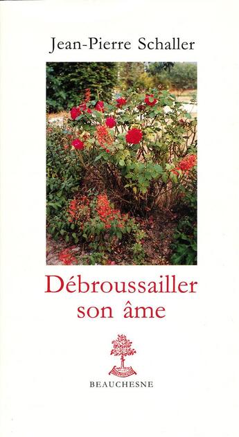 Couverture du livre « Débroussailler son âme » de Jean-Pierre Schaller aux éditions Beauchesne