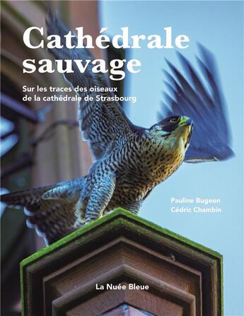 Couverture du livre « Cathédrale sauvage » de Pauline Bugeon et Cedric Chambin et Alain Mauviel aux éditions La Nuee Bleue