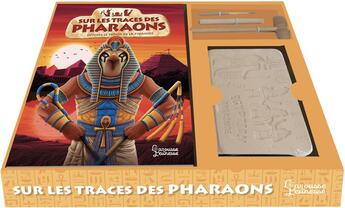 Couverture du livre « Sur les traces des pharaons » de Dimitri Casali et Marcelino Truong et Patrick Connan aux éditions Larousse