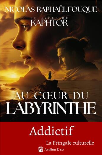 Couverture du livre « Au coeur du labyrinthe » de Nicolas-Raphael Fouque aux éditions Avallon & Combe