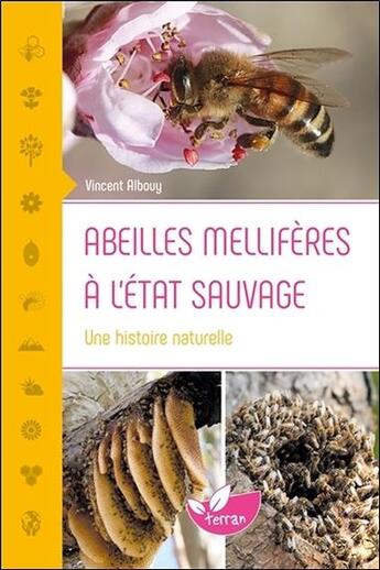 Couverture du livre « Abeilles mellifères à l'état sauvage ; une histoire naturelle » de Vincent Albouy aux éditions De Terran