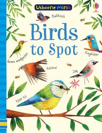 Couverture du livre « Birds to spot ; mini book » de Kirsteen Robson et Sam Smith et Stephanie Fizer Coleman aux éditions Usborne