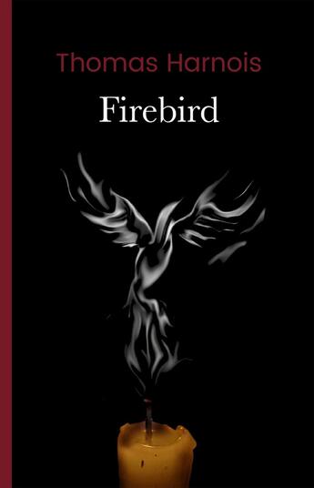 Couverture du livre « Firebird » de Thomas Harnois aux éditions Iggybook