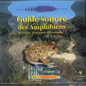 Couverture du livre « Guide sonore des amphibiens de France, Belgique et Luxembourg » de  aux éditions Biotope