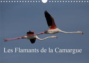 Couverture du livre « Les flamants de la camargue calendrier mural 2020 din a4 horizontal - scenes de la vie d une espece (édition 2020) » de Pirsch Photo aux éditions Calvendo