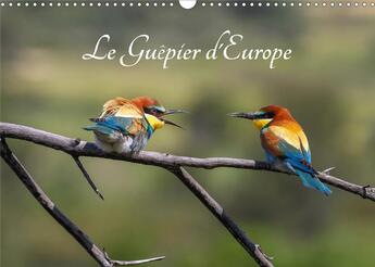 Couverture du livre « Le Guêpier d'Europe - Merops Apiaster (Calendrier mural 2020 DIN A3 horizontal) ; Découvrez chaque mois les différentes facettes du guêpier d'Europe. (Calendrier mensuel, 14 Pages ) » de Djamal Makhloufi aux éditions Calvendo