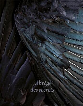 Couverture du livre « Abrégé des secrets » de Chantal Portillo et Alexa Brunet aux éditions Le Bec En L'air
