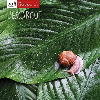 Couverture du livre « L'escargot » de Lea Schneider aux éditions Acces