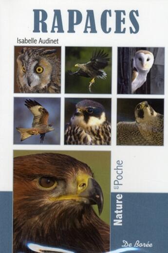 Couverture du livre « Rapaces » de Isabelle Audinet aux éditions De Boree