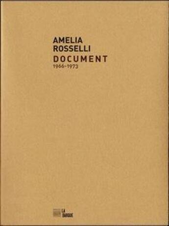 Couverture du livre « Document » de Amelia Rosselli aux éditions La Barque