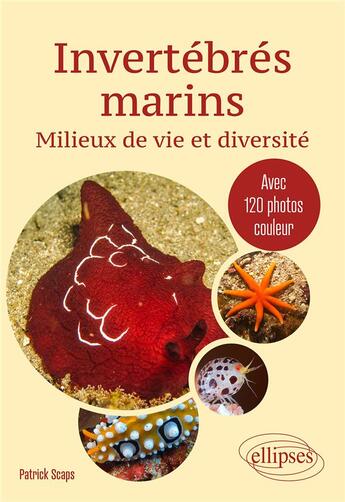 Couverture du livre « Invertébrés marins : milieux de vie et diversité » de Patrick Scaps aux éditions Ellipses