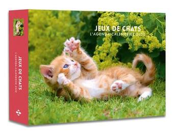 Couverture du livre « L'agenda-calendrier jeux de chats (édition 2020) » de  aux éditions Hugo Image