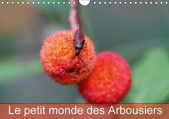 Couverture du livre « Le petit monde des arbousiers calendrier mural 2018 din a4 h - les insectes des arbousiers ca » de Julien M aux éditions Calvendo