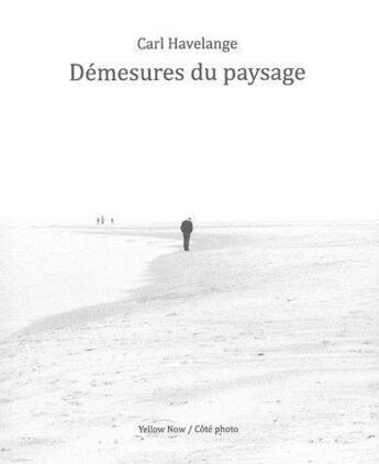 Couverture du livre « Démesures du paysage » de Carl Havelange aux éditions Yellow Now