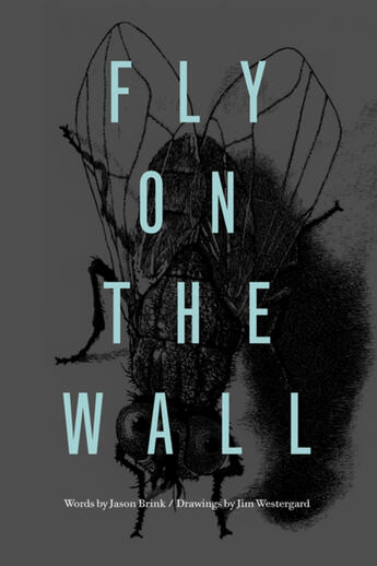 Couverture du livre « Fly on the Wall » de Joey Comeau aux éditions Ecw Press