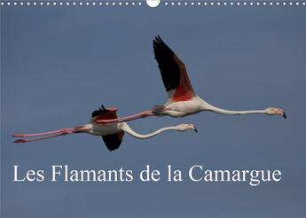 Couverture du livre « Les flamants de la camargue calendrier mural 2020 din a3 horizontal - scenes de la vie d une espece » de Pirsch Photo aux éditions Calvendo