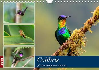 Couverture du livre « Les colibris du costa rica et » de W Hlke J Rgen aux éditions Calvendo